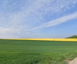 To najmniejsza wieś w Polsce. Ma zaledwie 30 hektarów i tylko kilku mieszkańców