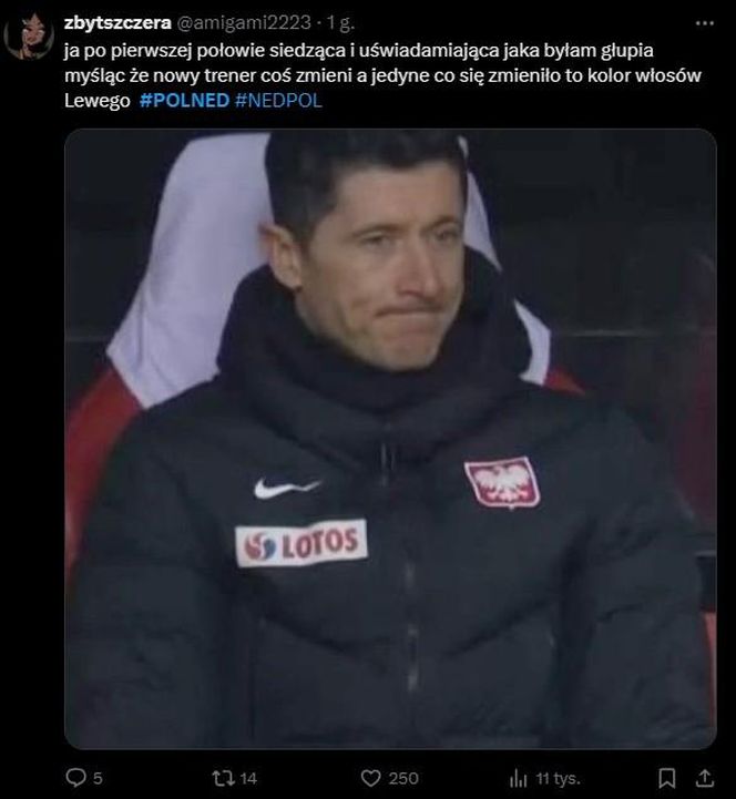 Polska - Holandia MEMY