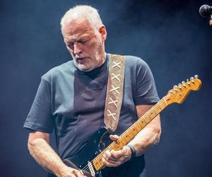 David Gilmour z nowym projektem, opartym na... sztucznej inteligencji! Muzyk zaprosił do współpracy fanów