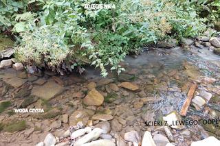 Zanieczyszczenie ujęcia wody pitnej w gmienie Niedźwiedź, w powiecie limanowskim