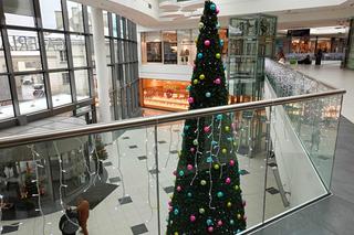 Świąteczne wiitryny sklepów 
