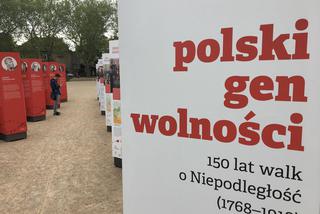 Wystawa na Jasnych Błoniach