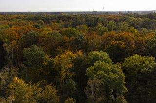 Wrocław w połowie października 2022 roku 