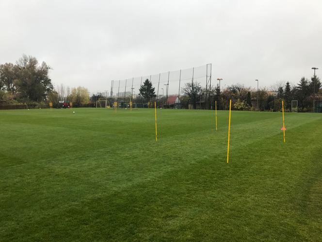 Śląsk Wrocław podczas przerwy reprezentacyjnej