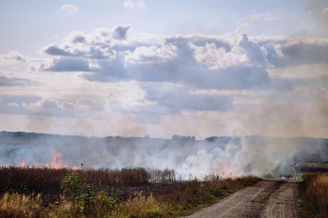 Ponad 100 wyjezdów  do palących się traw od poczatku roku!