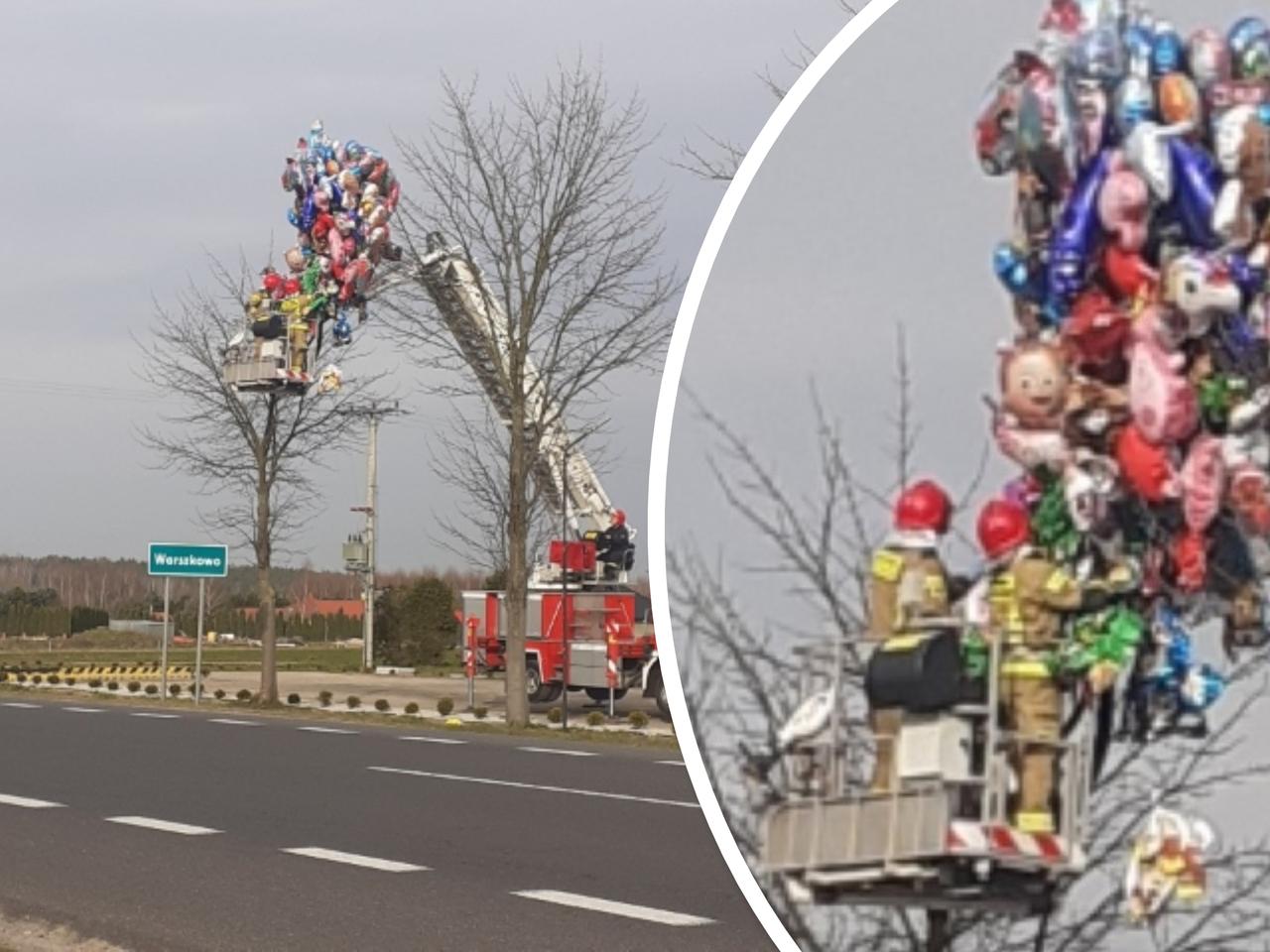 Ratowali... baloniki! Niecodzienna akcja strażaków spod Sławna [ZDJĘCIA]