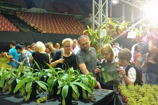 Krwiożercze rośliny opanowały katowicki Spodek! Trwa Festiwal Roślin Owadożernych [ZDJĘCIA, AUDIO]