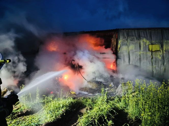 Pożar w Andrzejkach. Strażacy walczyli o uratowanie zwierząt i domu