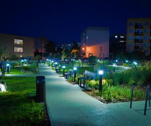 Park kieszonkowy i tężnia solankowa. To nowa atrakcja w Ostrowcu Świętokrzyskim