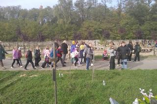 Światełko Pamięci