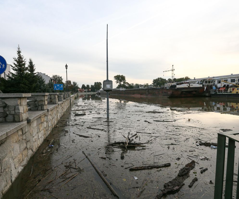 Nowa Sól - stan Odry na 23 września