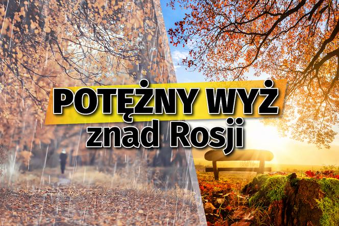 wyż, pogoda, polska, prognoza