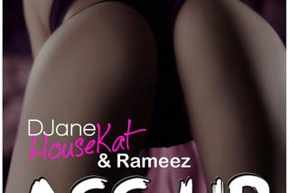 Gorąca 20 Premiera: DJane HouseKat & Rameez - Ass Up. Lepsza niż wersja Baracudy? [SONDA]