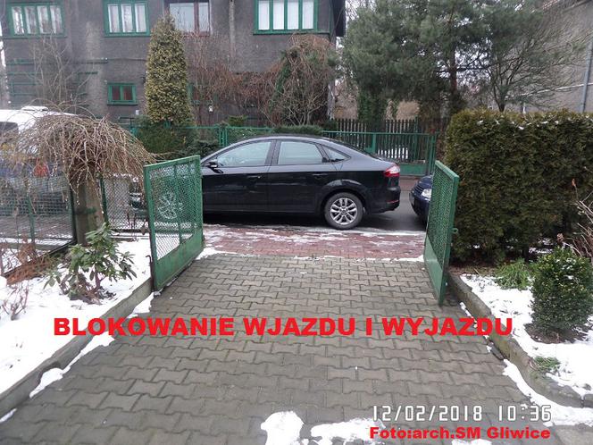 Mistrzowie parkowania z Gliwic