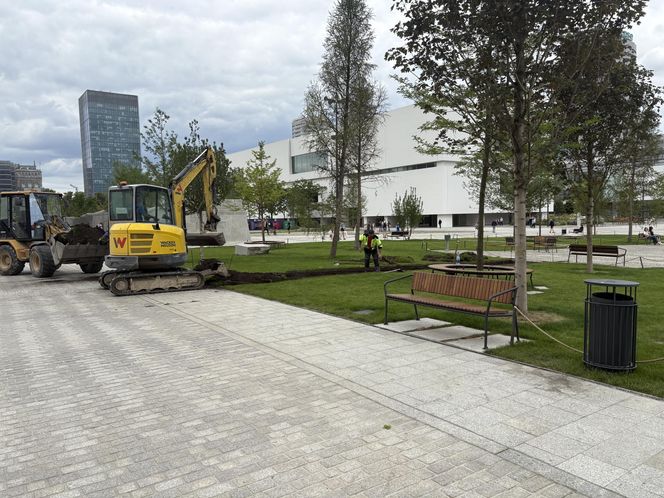 Absurd roku w Warszawie. Zrywają zieleń na nowym pl. Centralnym. Zamiast niej będzie beton