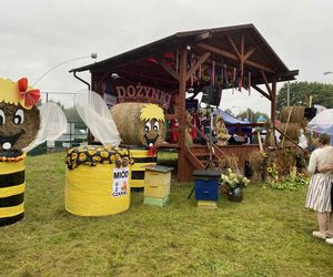 Dożynki w Jedlni