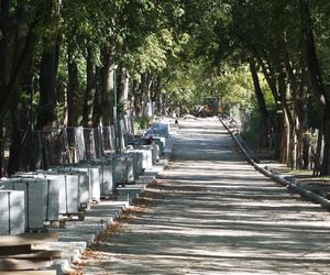 Rewitalizacja Parku Planty w Białymstoku latem 2025