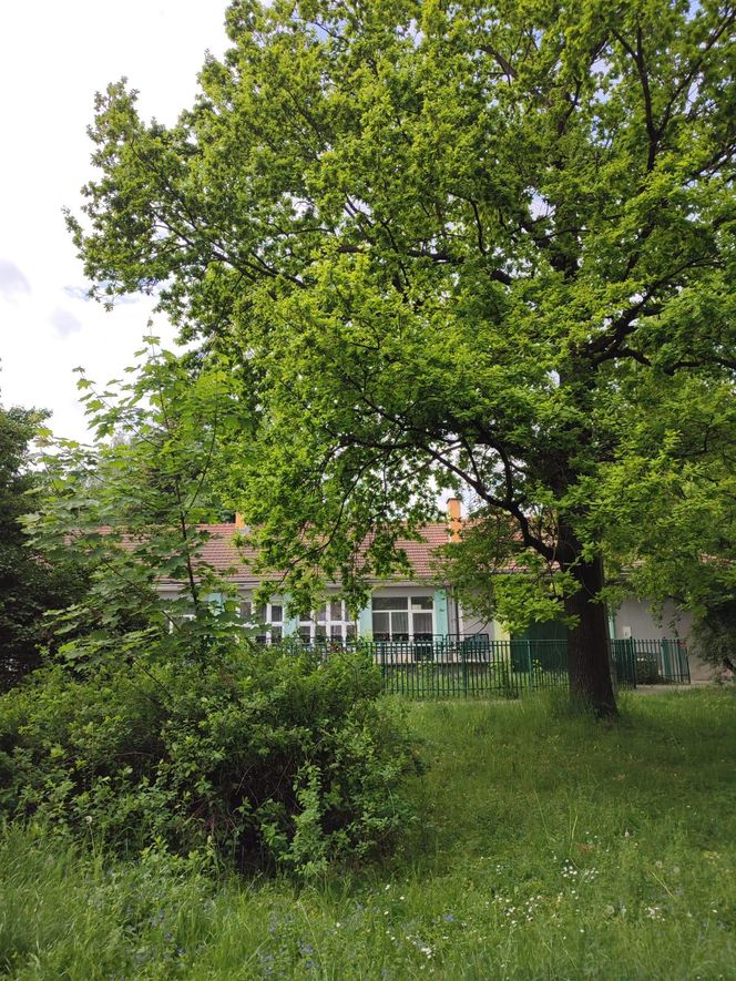 Os. Wandy, Nowa Huta, Kraków. Samorządowe Przedszkole nr. 88