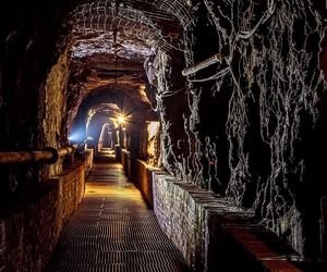Górnicze dziedzictwo Zabrza na drodze do światowego uznania. Miasto walczy o wpis na listę UNESCO