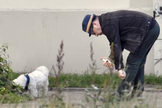 Zbigniew Zamachowski walczy z komarami