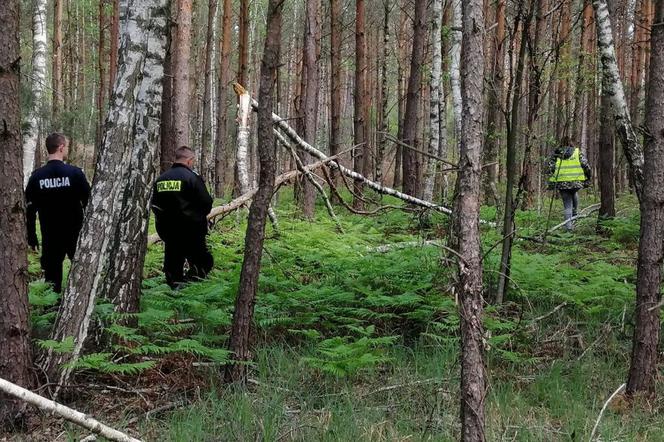 Ponad sto osób w akcji, policyjny śmigłowiec i dron. Poszukiwaną 27-latkę odnaleziono na... Śląsku