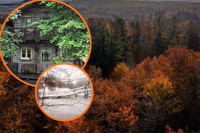 To nie AI, tylko Kaszuby. Ta osada to miejsce jak z dawnych baśni, a istnieje naprawdę