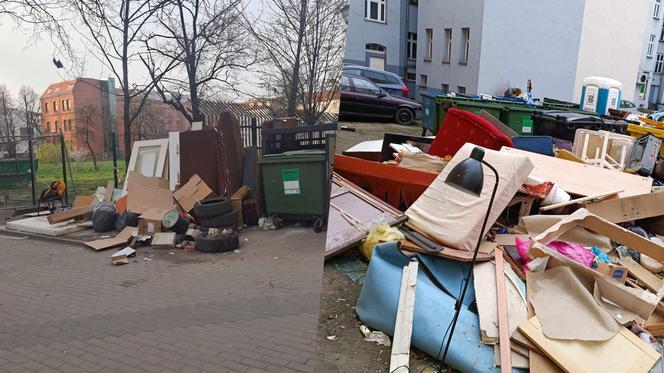 Podwórka syfiarzy we Wrocławiu. "Tu naprawdę mieszkają wybitne brudasy"