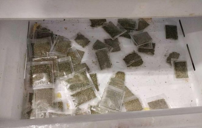 Areszt za uprawę marihuany. 