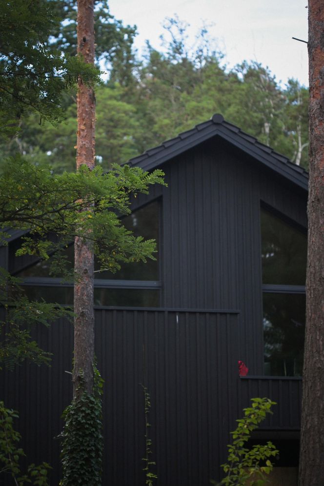 Dom w stylu nadwiślańskiej architektur