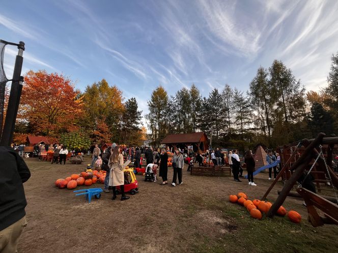 Zagroda 3 siostry w Kamieniu przyciągnęła całe rodziny w ciepły jesienny weekend ZDJĘCIA