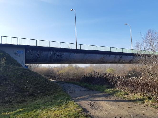 Stan zamkniętego mostu w Ostrowie był TRAGICZNY. Świadczą o tym zdjęcia