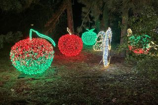 Lumina Park w Poznaniu powraca. Znamy szczegóły. Ile kosztują bilety?