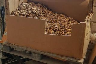 Mrągowo: Nielegalny tytoń wykryto na terenie zakładu przemysłowego