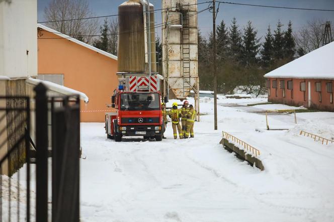 Zawalił się dach kurnika. Skomplikowana akcja we wsi Występ