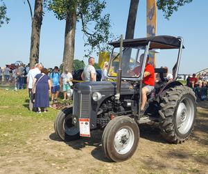 Festiwal starych ciągników w Wilkowicach. Setki maszyn, tysiące widzów i upał