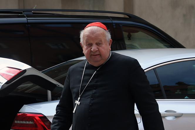 Kardynał Stanisław Dziwisz w niemieckiej limuzynie. Setka w 7 sekund