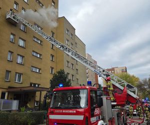 Bohaterska postawa strażaków z Krakowa. Uratowali zwierzęta z płonącego mieszkania