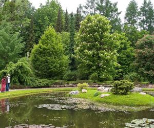 Arboretum w Rogowie