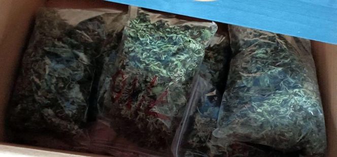 Policjanci z Koszalina przechwycili narkotyki warte pół miliona złotych