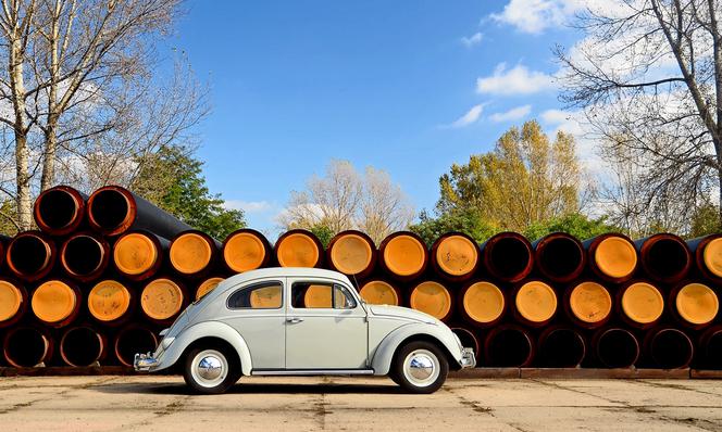 Volkswagen Beetle 2014 r. vs. Volkswagen Garbus 1960 r.