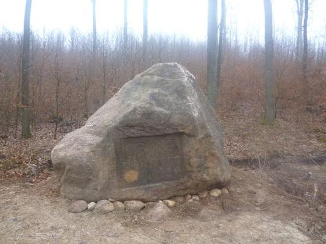 Warmia i Mazury wcale nie są płaskie! Odkryj najwyższą górę regionu i jego tajemnice