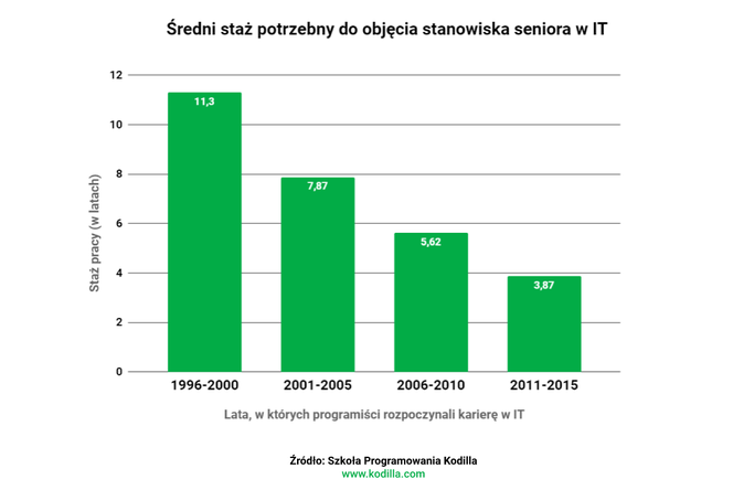 Programiści IT