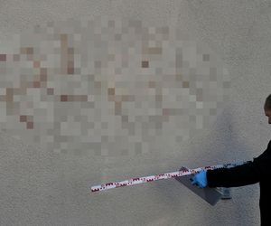 Swastyki namalowane ludzką krwią na autach i budynkach! Przerażające zdarzenie bada policja
