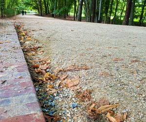 Usterki na Alei Fałata