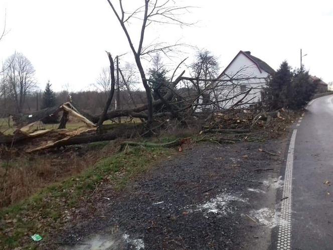 Wichury na Dolnym Śląsku