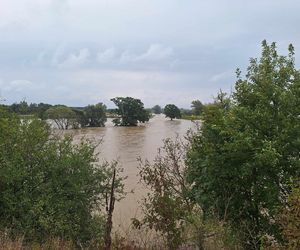 Polder Buków przecieka