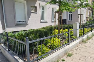 Zielone Podwórka i Zielone Przedogródki Szczecina