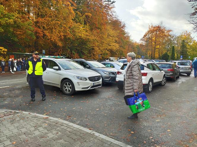 Wszystkich Świętych w Trójmieście. Zmiany w komunikacji