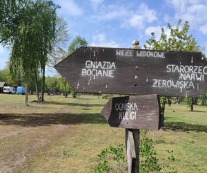 Europejska Wieś Bociania w Pentowie. Unikalne miejsce na Podlasiu