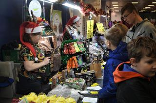 Mikołajkowe Targi Terrarystyczne Wild Animal Expo 2022 w Bydgoszczy [ZDJĘCIA]